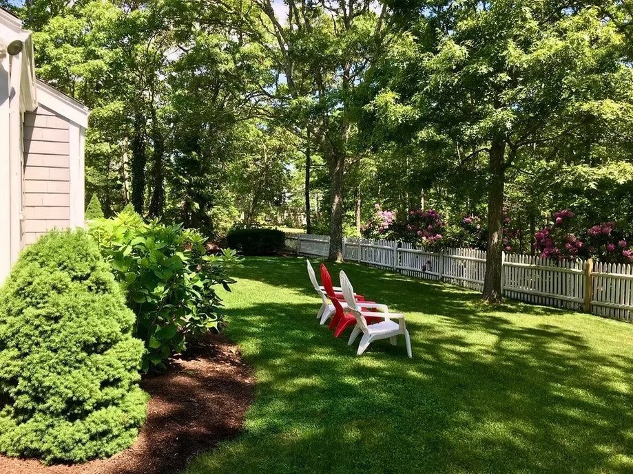 Frontyard