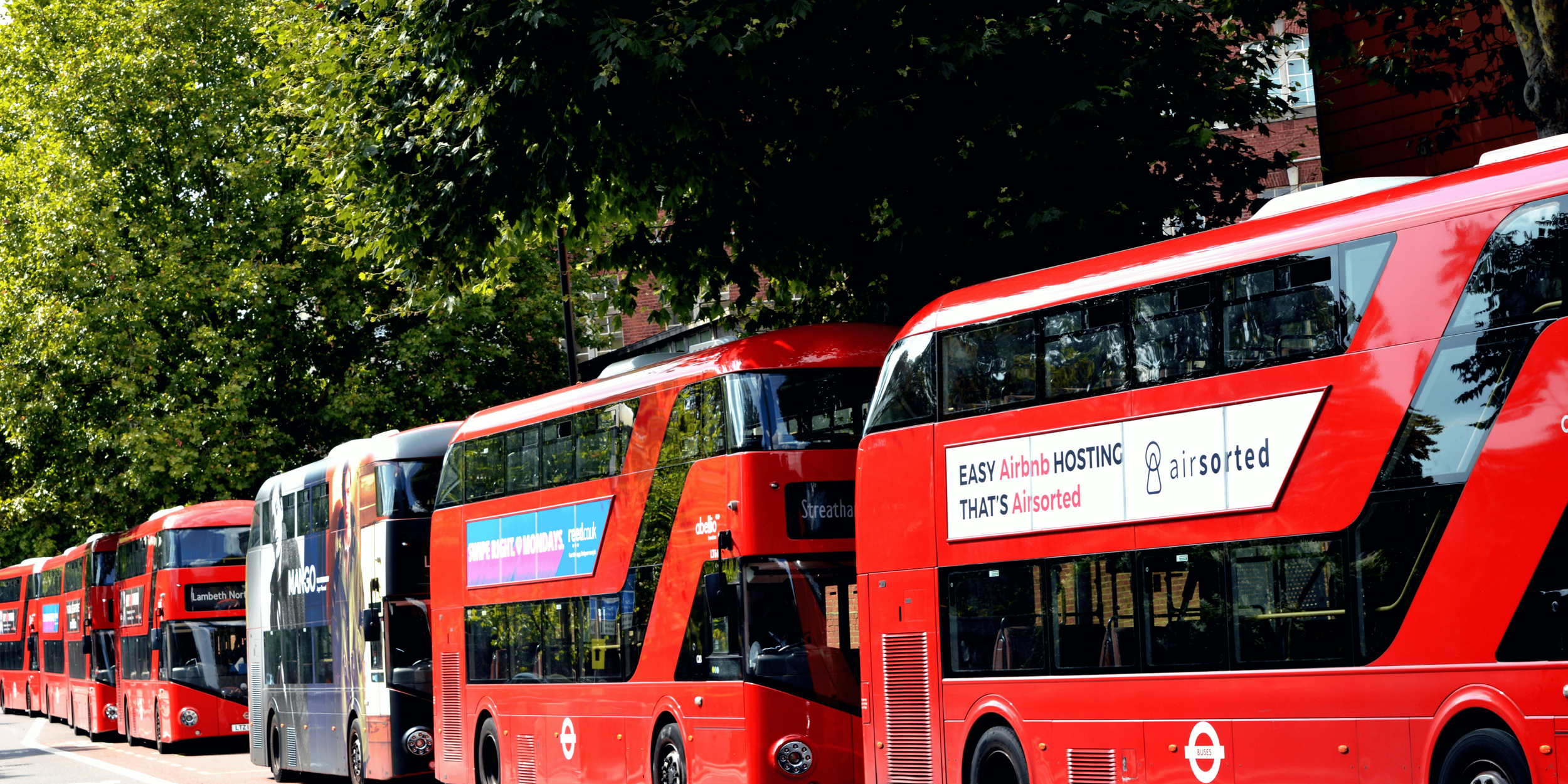 A row of red double-decker buses parked beneath trees in an urban setting.