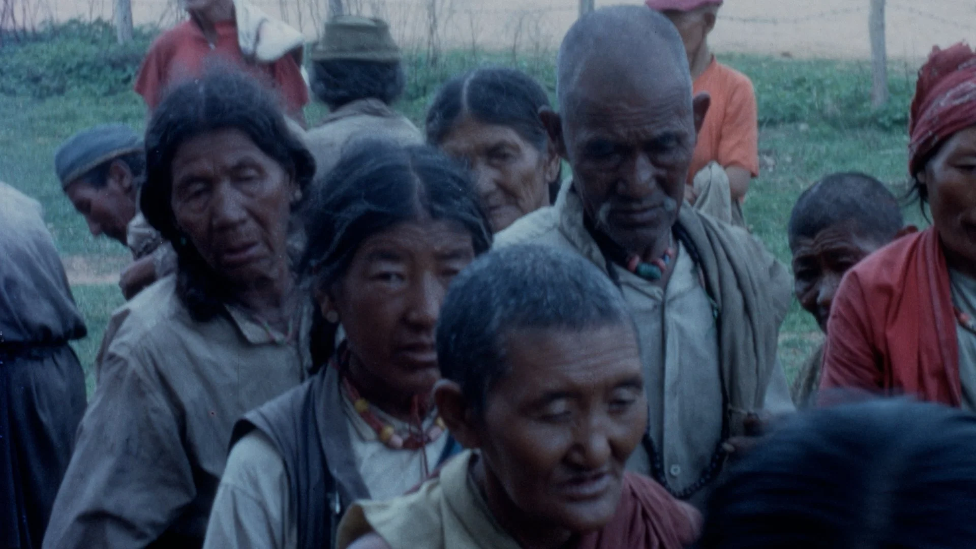 Mundgod ppl 16mm 2.jpg