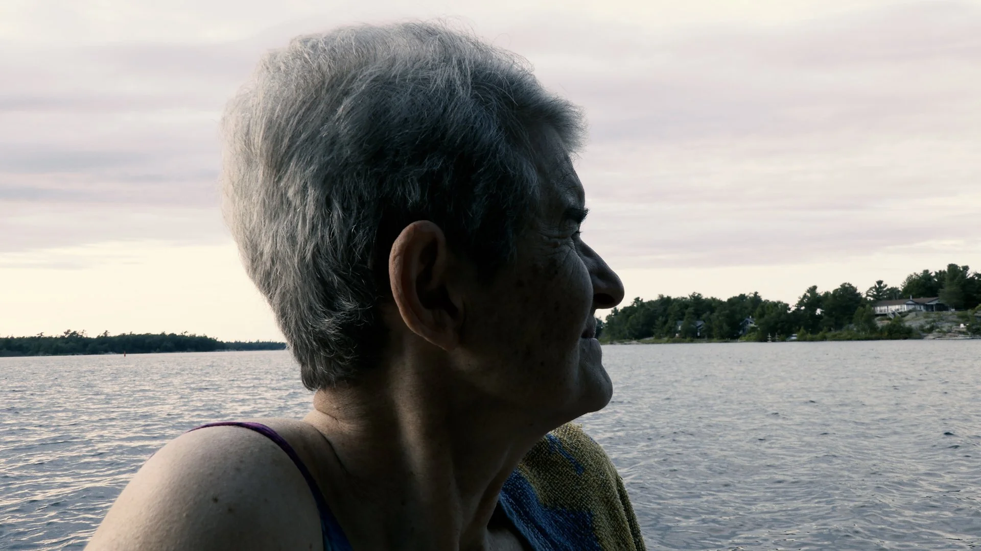 judy profile.jpg