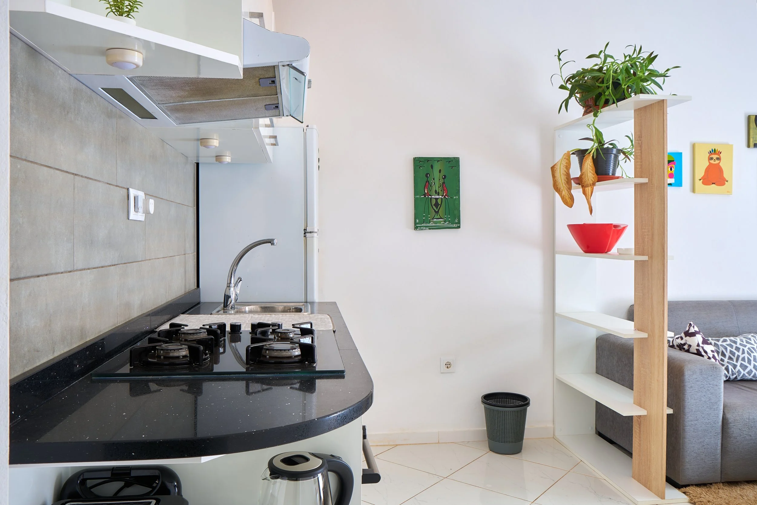 A modern kitchen with a black countertop stove, a white backsplash, a gray trash bin, and a wall decorated with colorful artwork and a green potted plant on a white and wooden shelf.