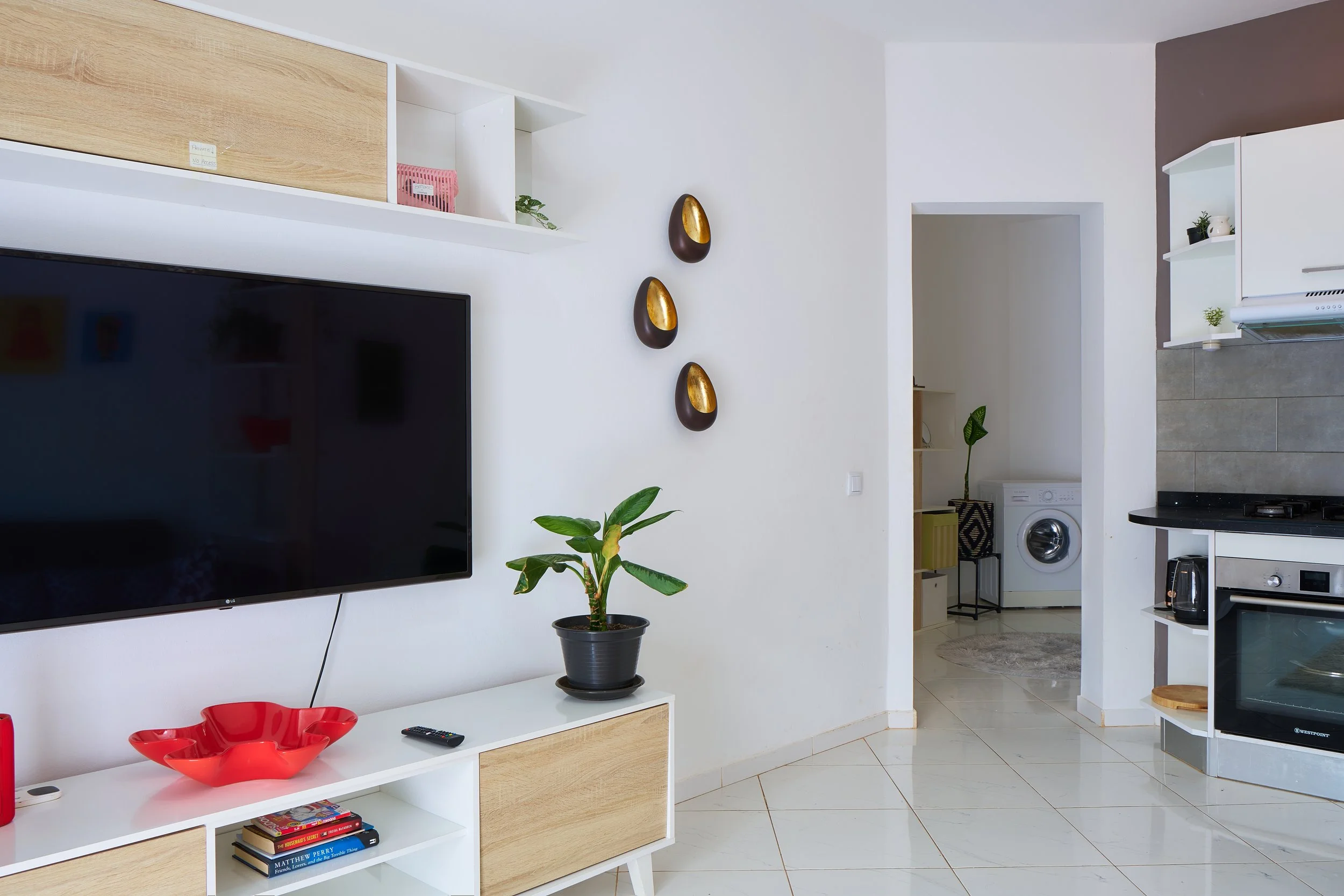 Modern living room with a flat-screen TV mounted on the wall, a white TV console with books, a red decorative bowl, and a remote control. There is a potted plant in front of the TV, and modern wall decor with three oval-shaped, gold and brown wall ha