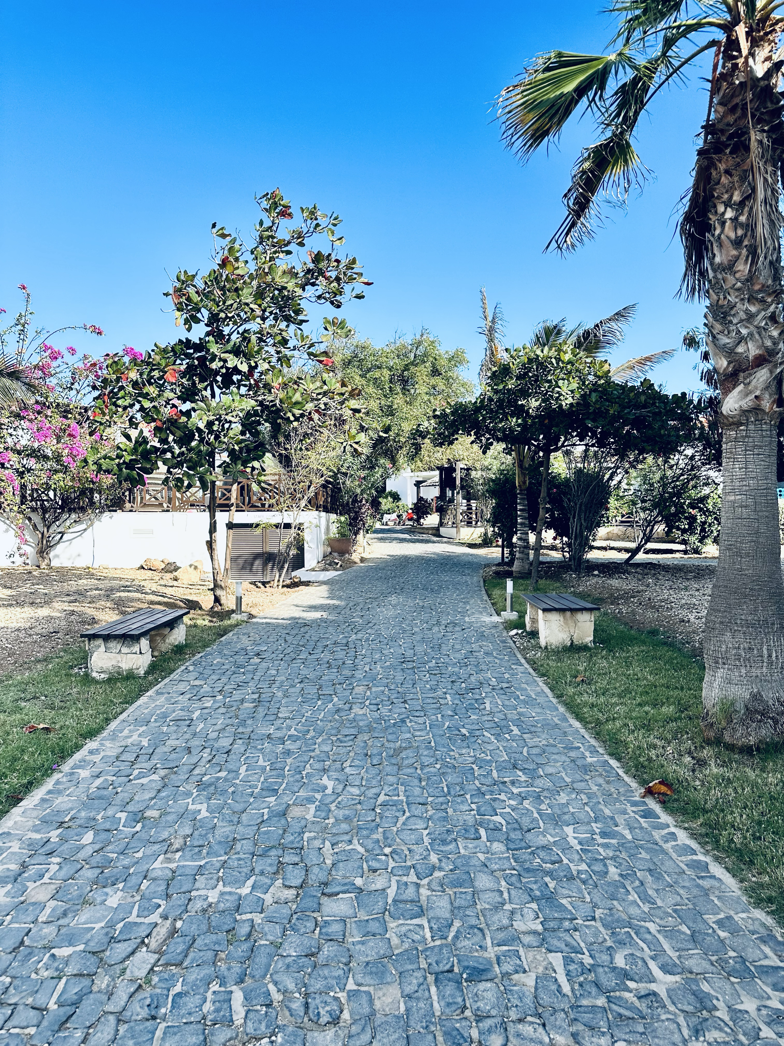 A cobblestone pathway winding through a lush green garden area with trees, bushes, benches, and a blue sky overhead.