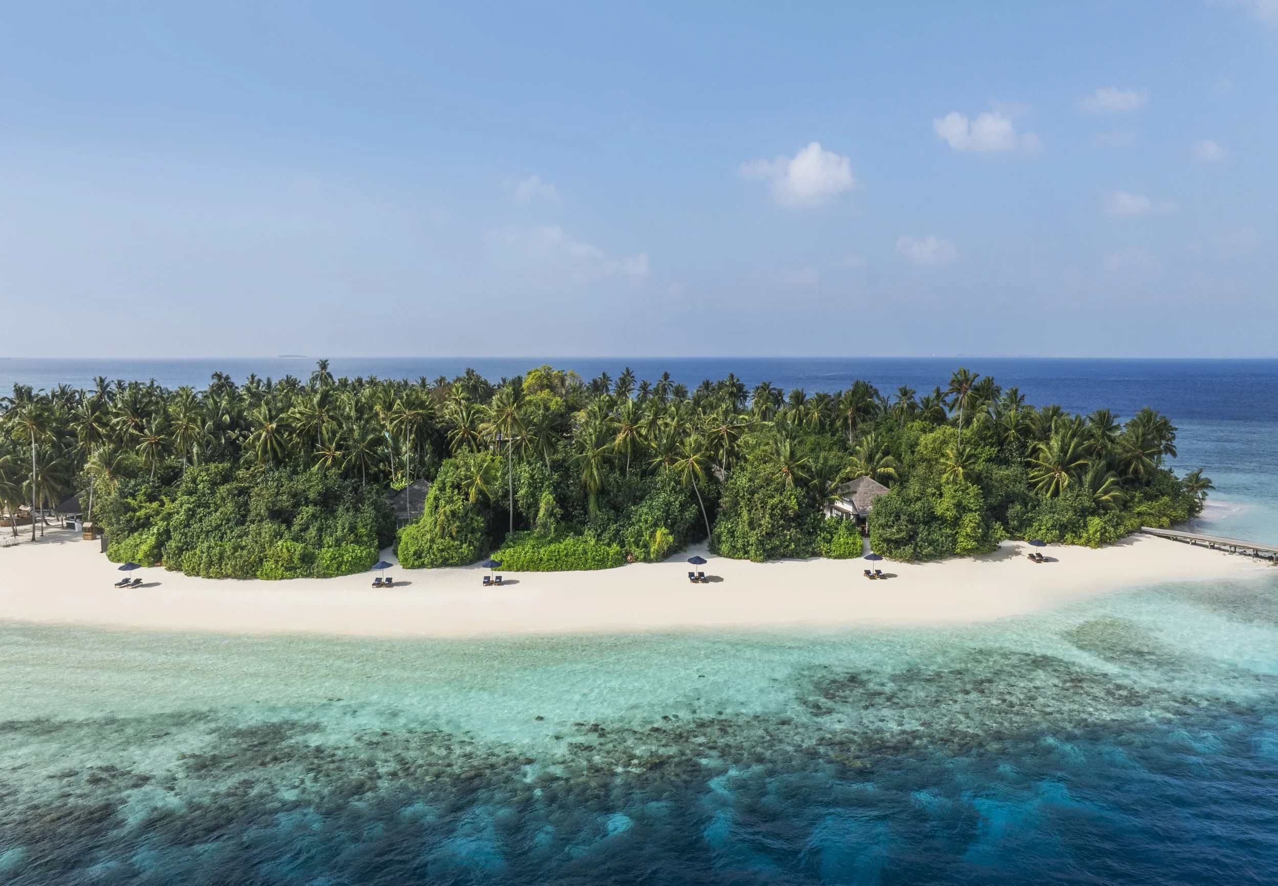 The Halcyon_House Reef.jpg