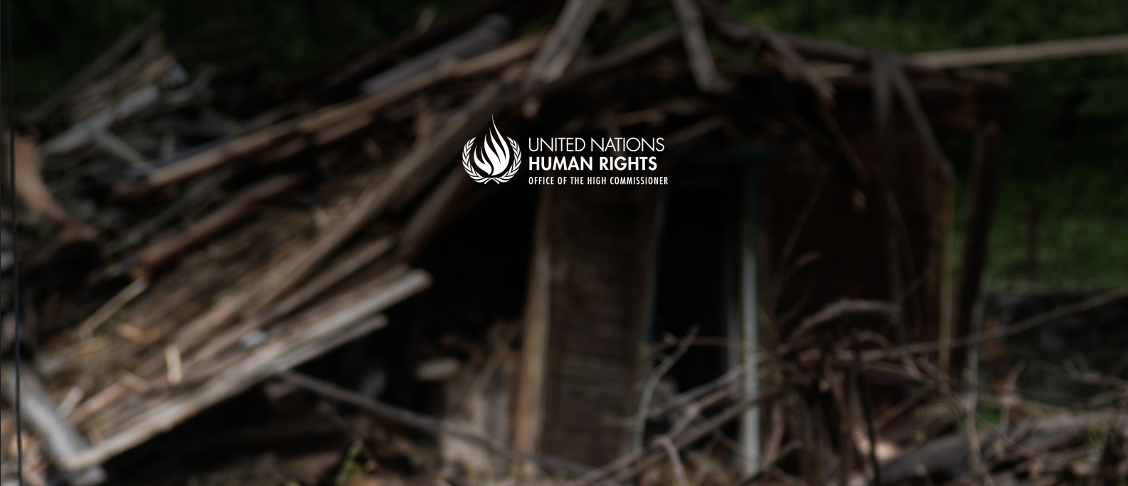 UN Human Rights Fact Sheet on Ukraine