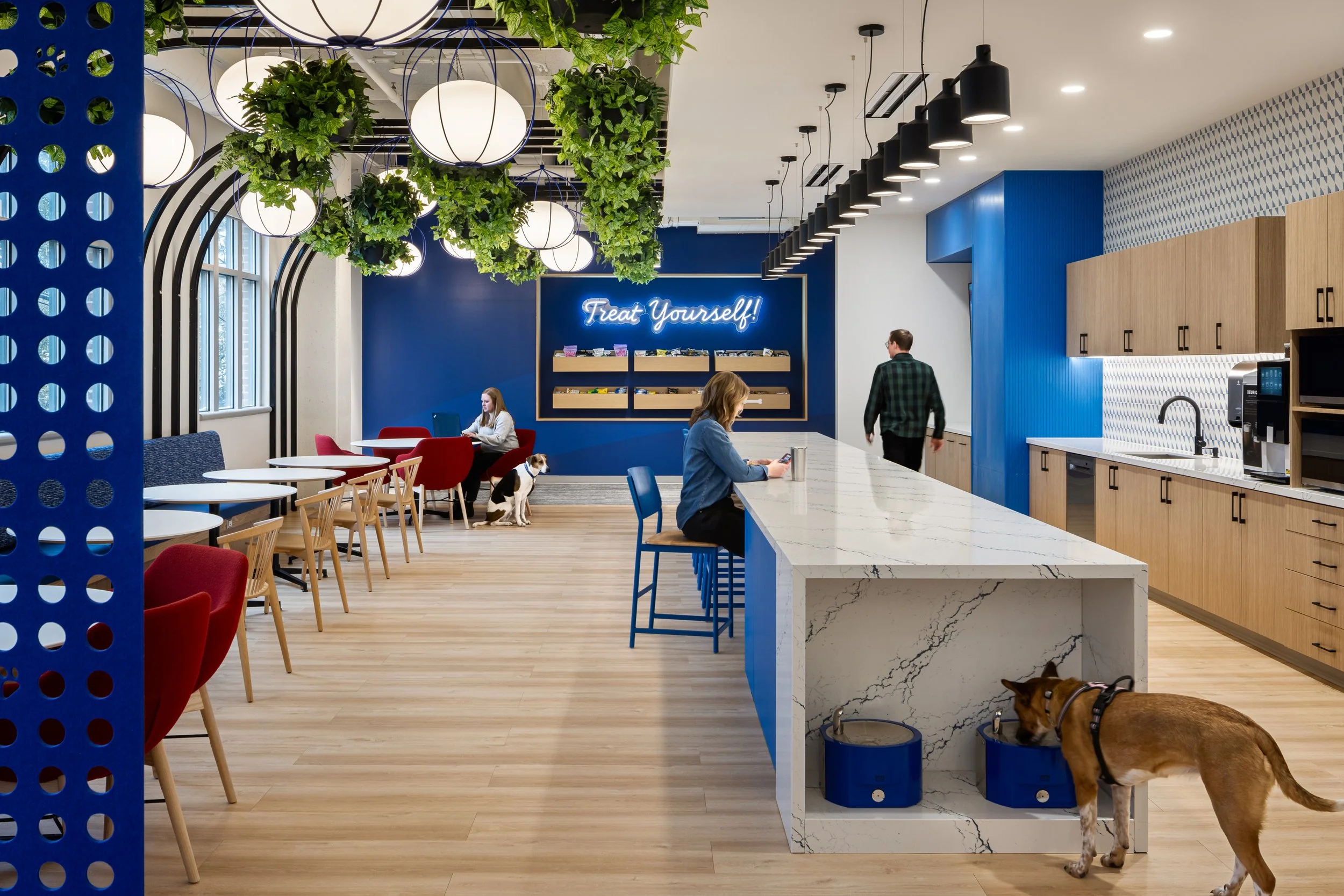 Modern office break room with blue accents, hanging plants, snack shelves, kitchen island, two people, and dogs