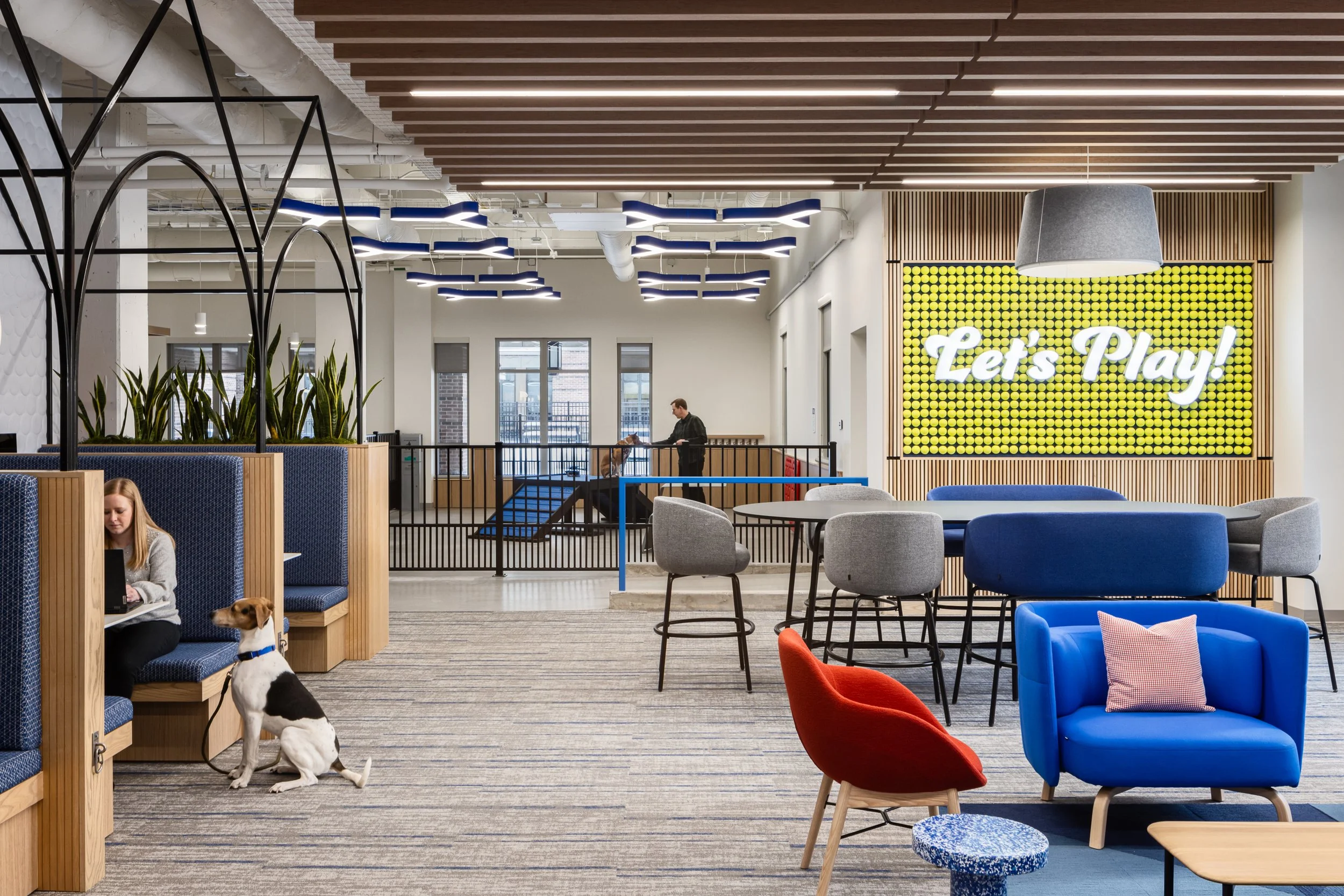 Modern dog-friendly office lounge with colorful seating, plants, a person with a dog, and a wall display reading “Let’s Play!”