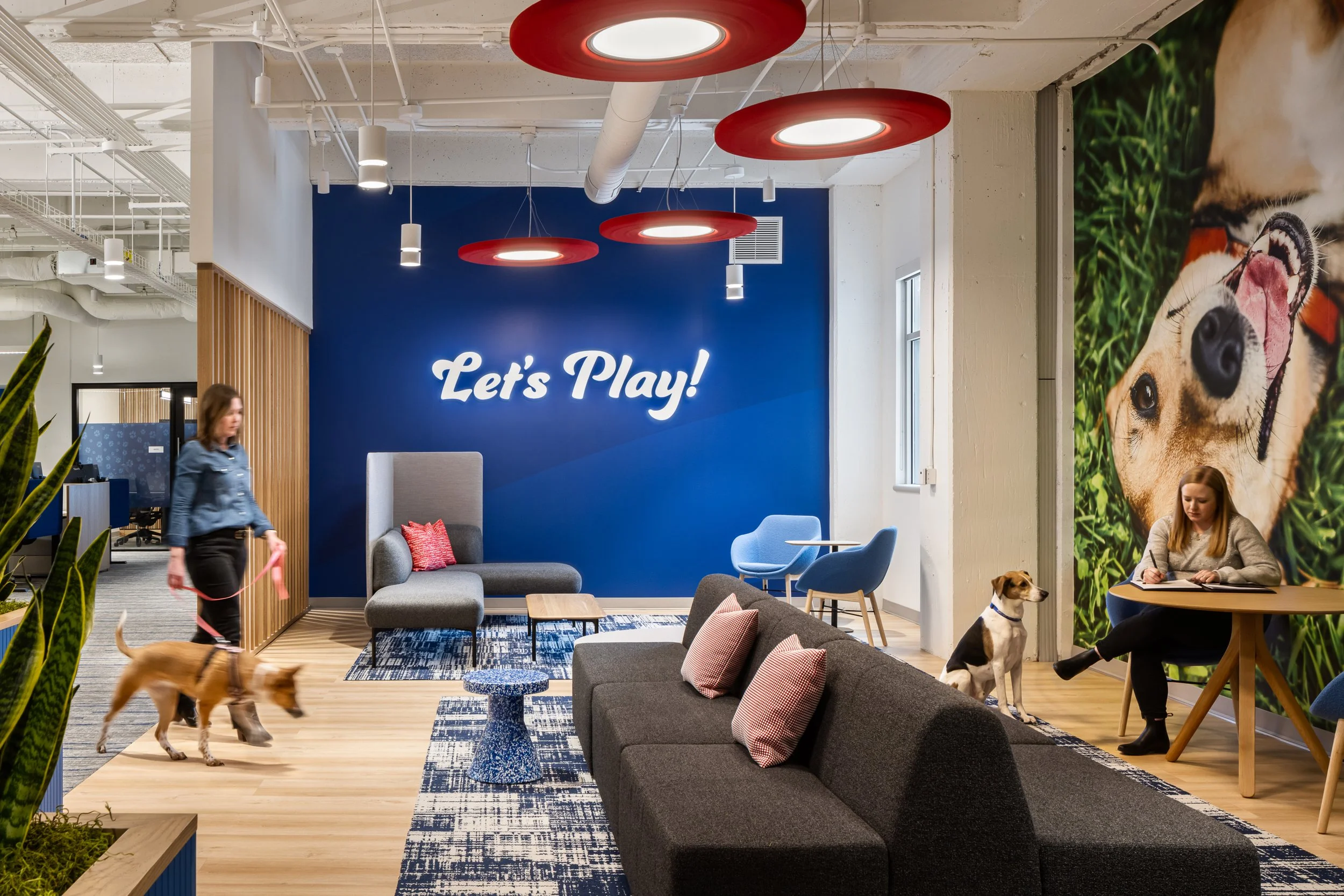 Bright pet-friendly office lounge with blue accent wall reading “Let’s Play!”, modern seating, dogs, employees, and large dog mural