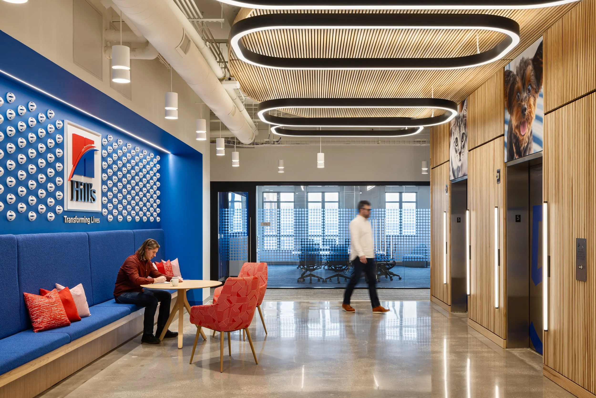 Modern HILLS office lobby with blue seating, red chairs, wood-paneled elevators, circular ceiling lights, and dog murals