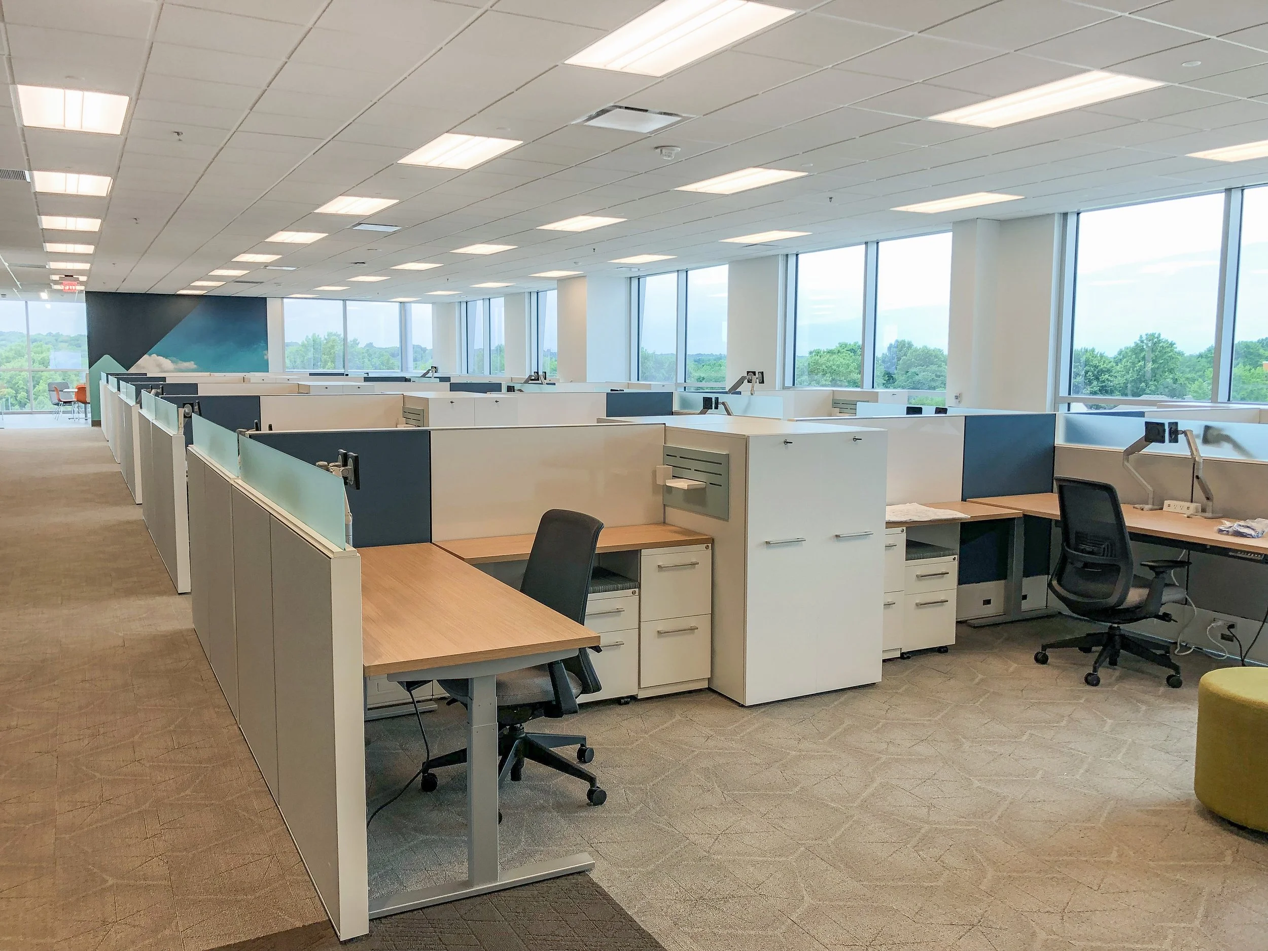 Modern open-plan office with rows of cubicles, desks, and ergonomic chairs beside large windows overlooking trees
