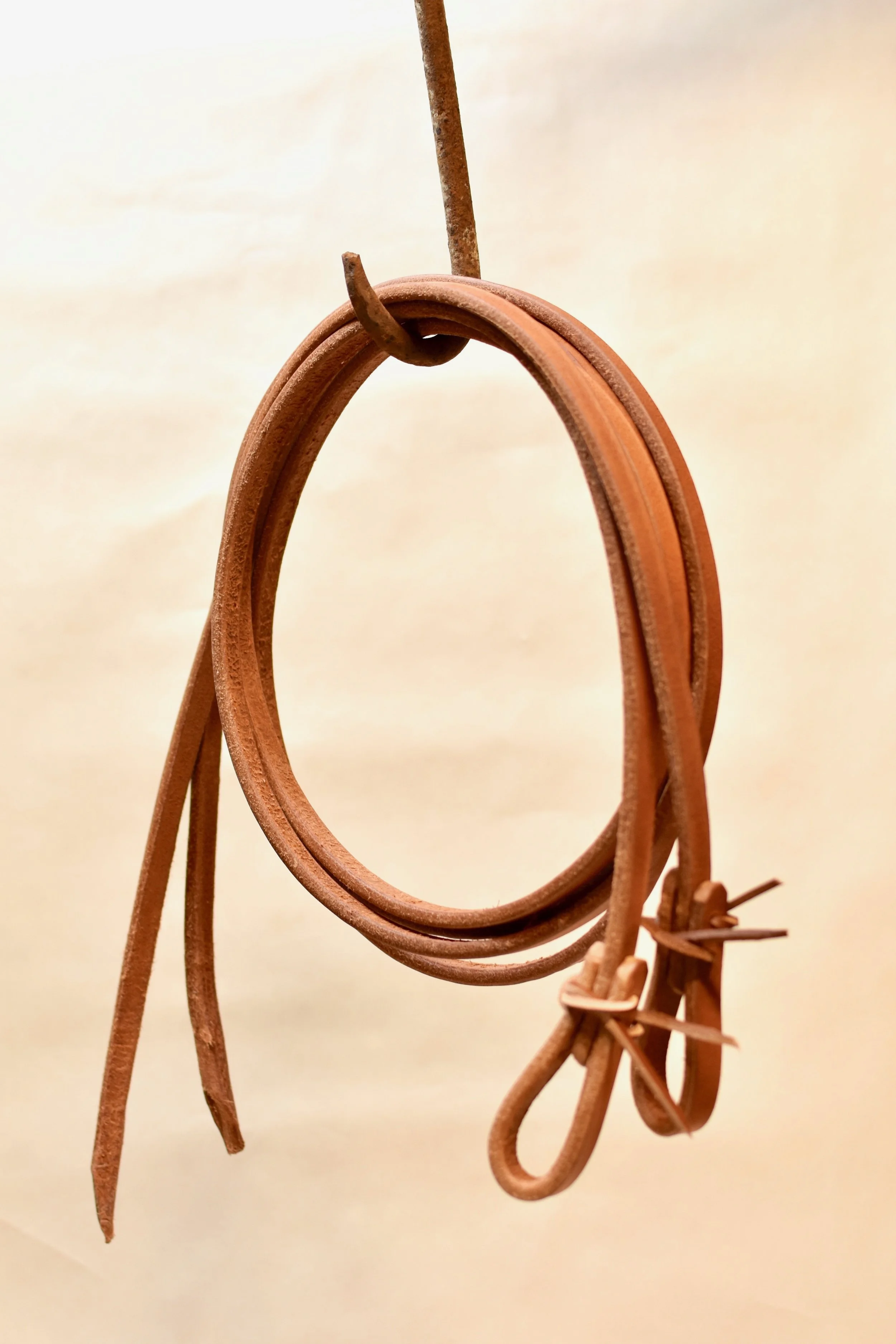 Split Reins