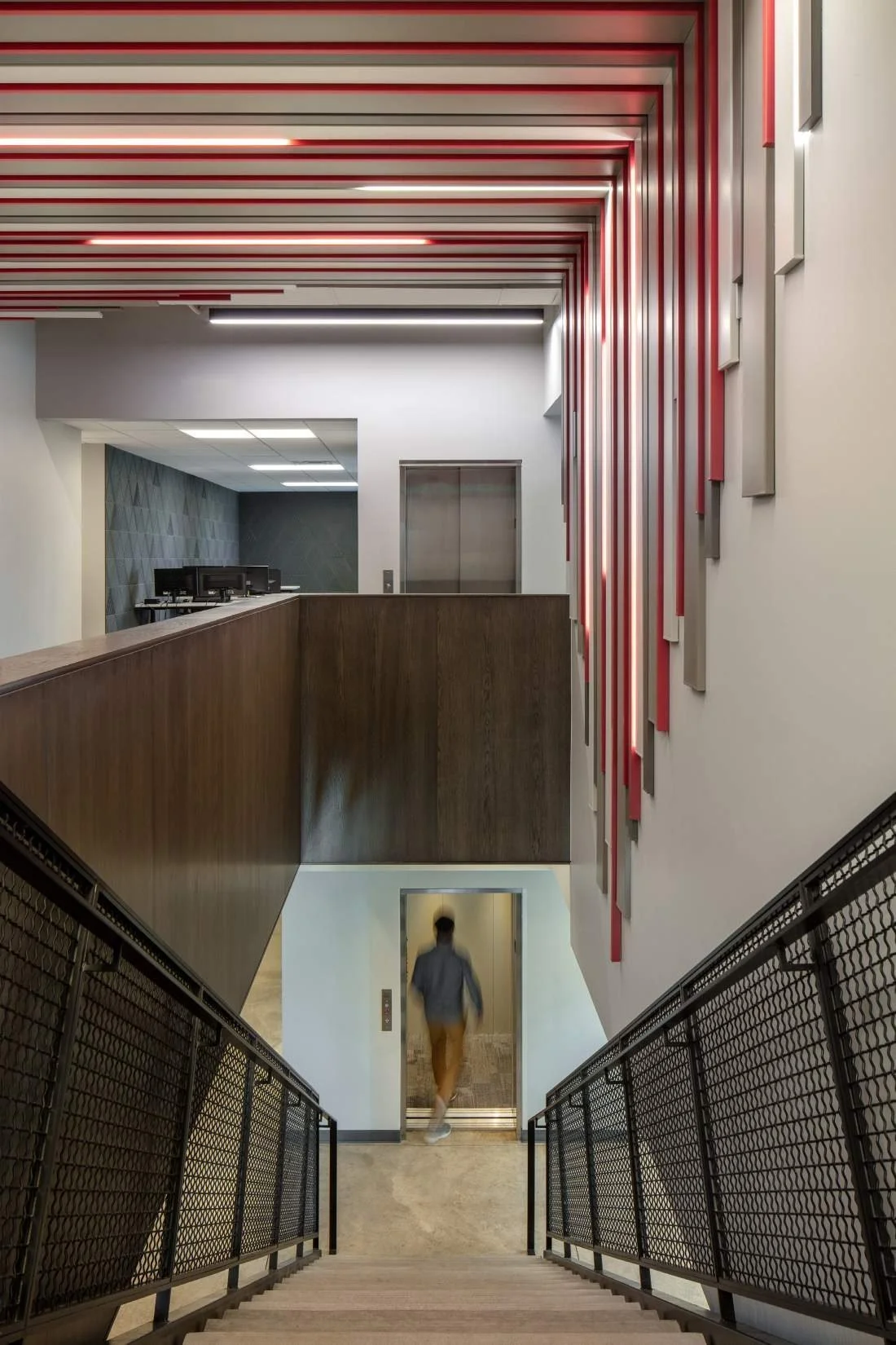 Specialty ceiling and wall products become the building's own showroom.