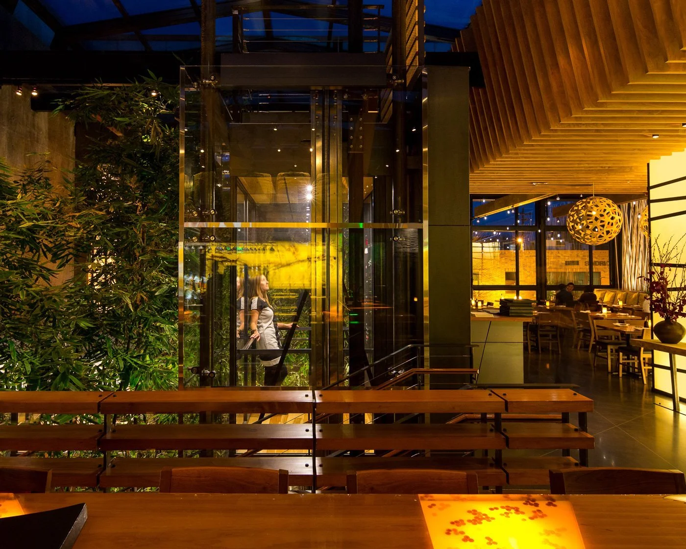 The glass stair tower rises through a two-story bamboo garden, dining beyond.