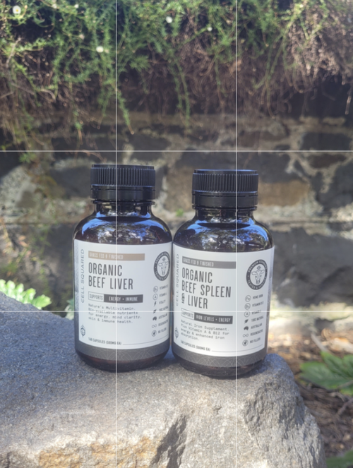 Nourish at a Cellular Level