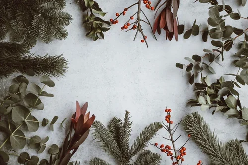 Tips for the festive season