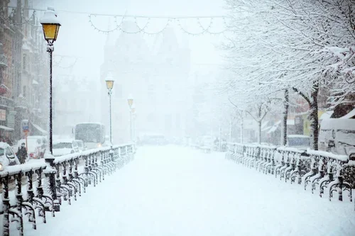 Winter Wellness
