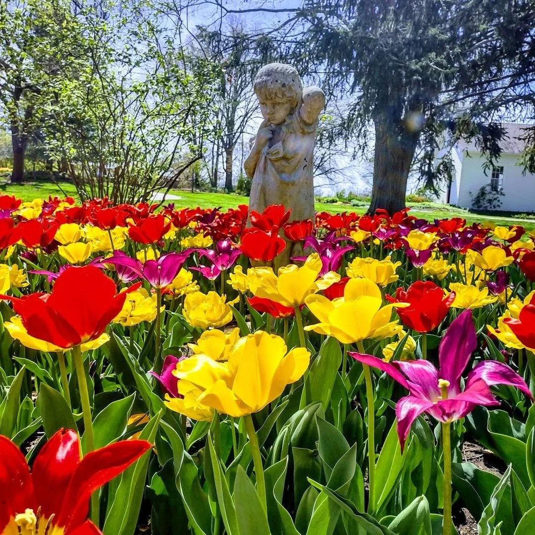 Colorful blooms and peaceful walking paths make Shelter Gardens a beautiful nearby escape 🌸 Enjoy a change of scenery close to home. 

 #ShelterGardens #ColumbiaMO #OutdoorSpaces #LocalFavorites #CampusLodgeColumbia