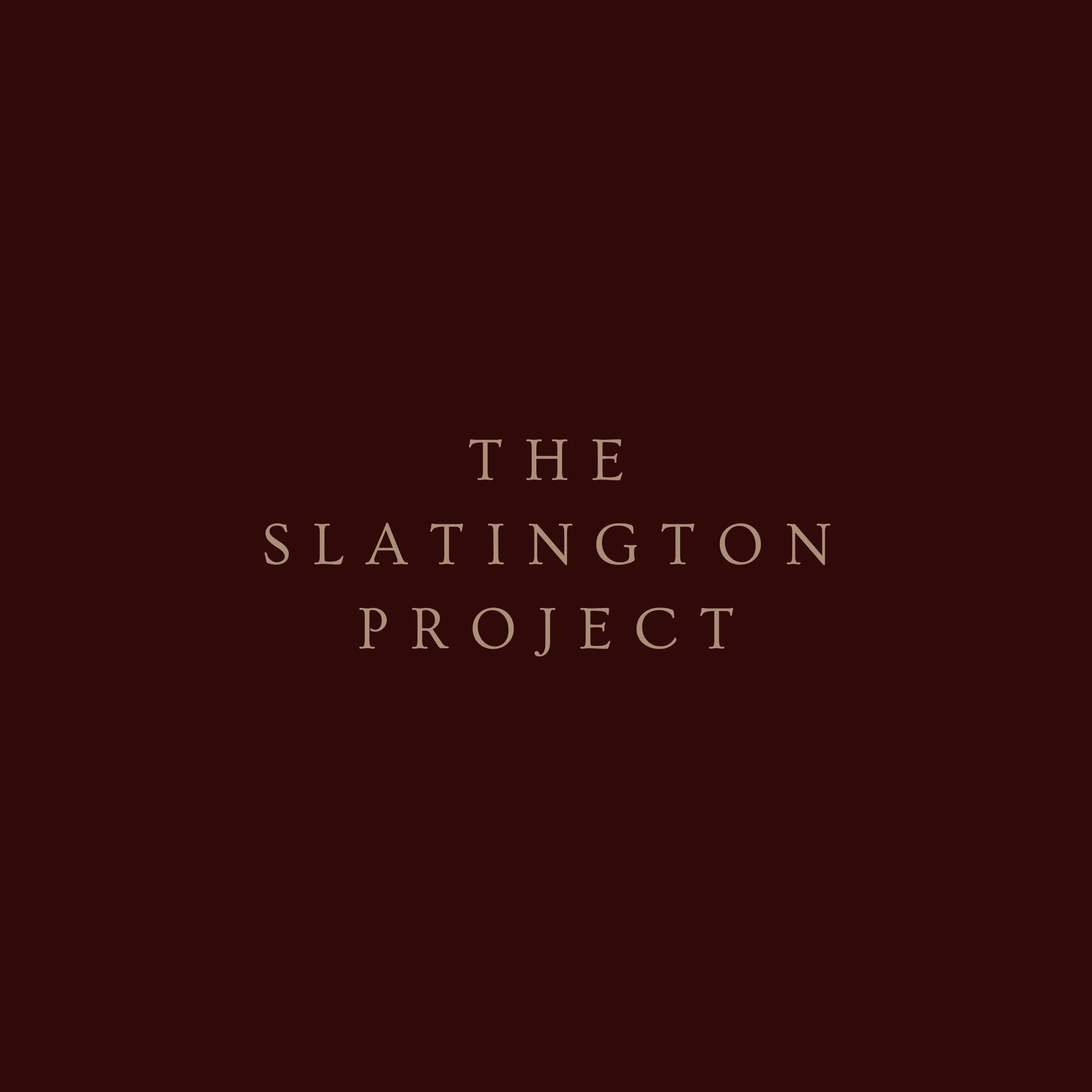 The cover of a book titled 'The Sutton Project' with a dark red background.