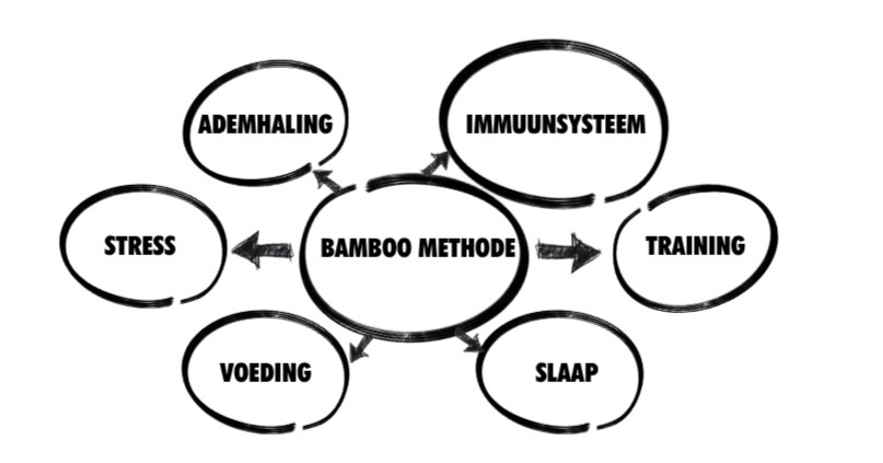 Diagram van de Bamboe methode die verband houdt met ademhaling, immuunsysteem, training, slapen, voeding en stress.