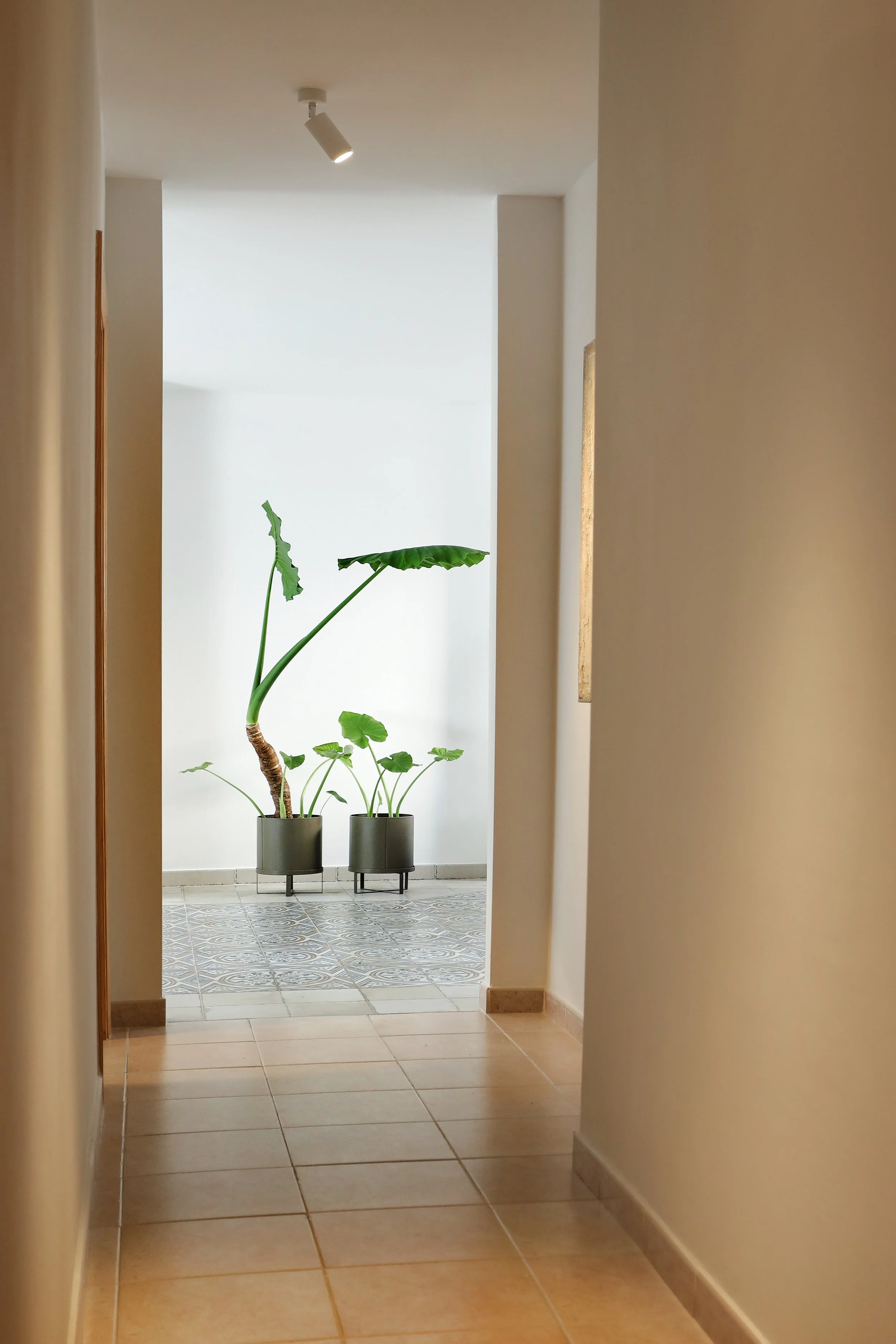 Hallway leading to a small tiled area with two potted plants, white walls, and a ceiling spotlight.