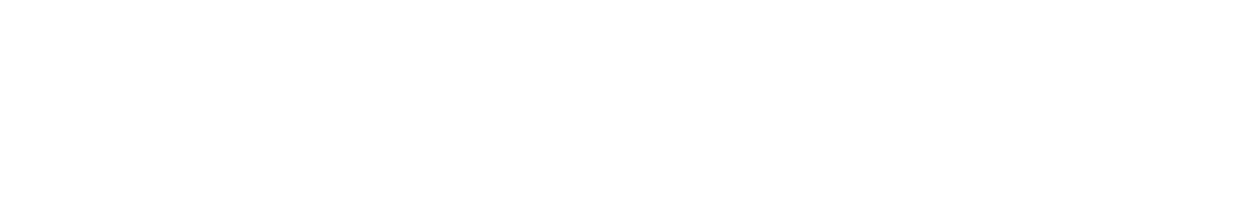Logo for SounD Home Preservation featuring a mountain, pine trees, a house, and the text "SounD Home Preservation" with the slogan "Preserve. Protect. Prosper."