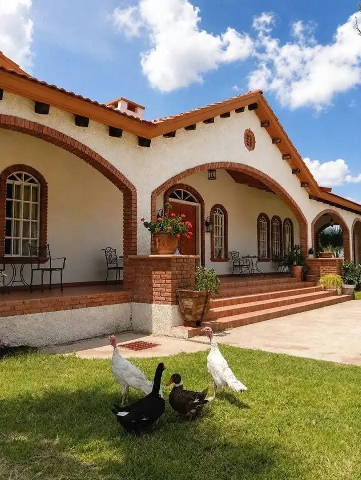 Casa de estilo rústico con paredes blancas, ventanas con marcos de ladrillo y un porche con muebles de hierro y sillas. En el jardín, cuatro patos caminan sobre el césped verde bajo un cielo azul con algunas nubes.