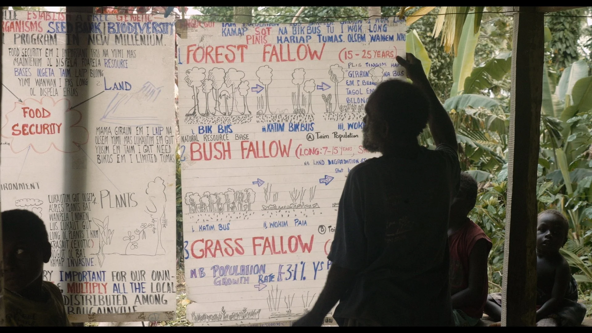 Ophir - Bruno forest graphics.jpg
