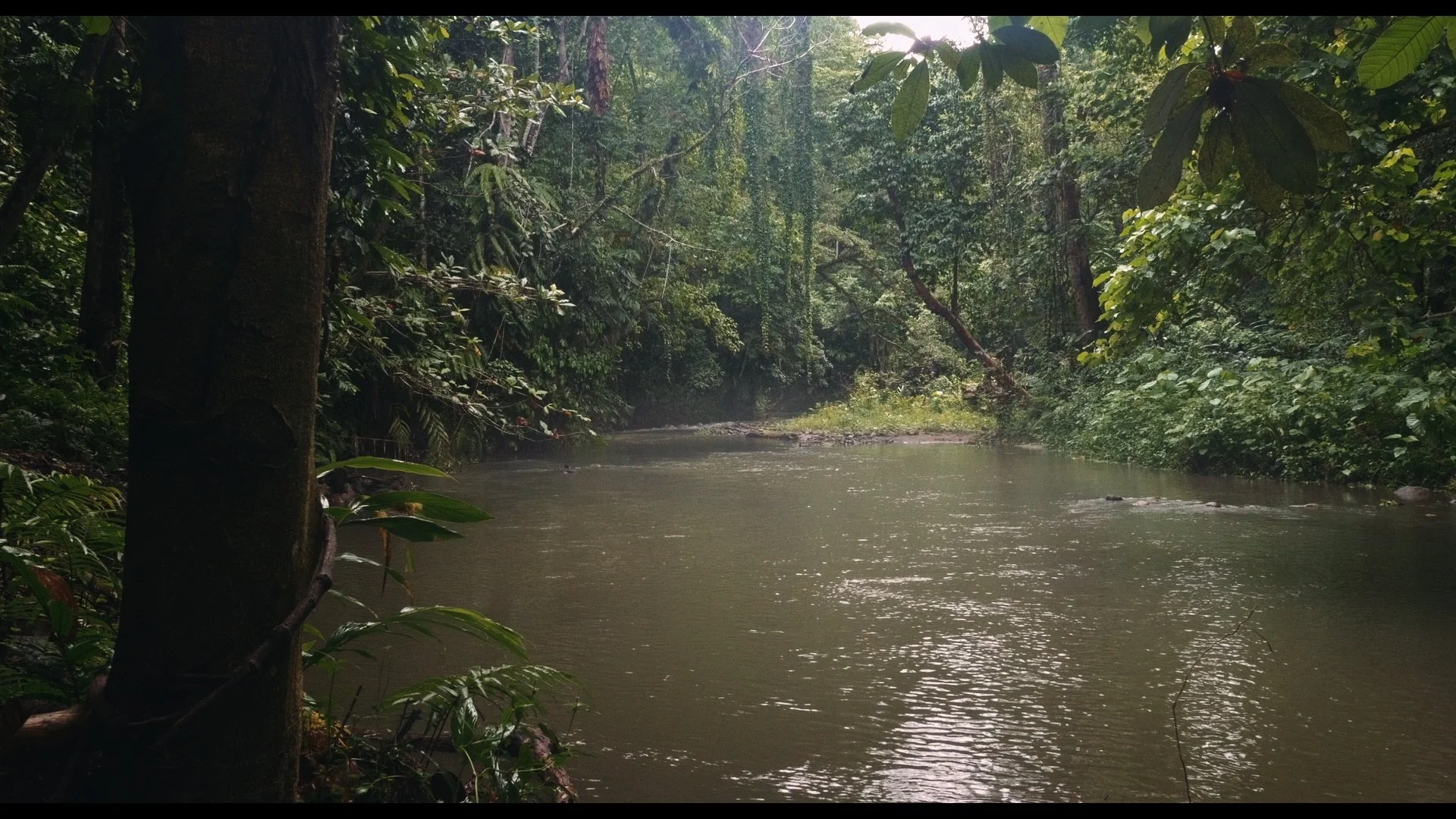 Ophir - jungle river.jpg