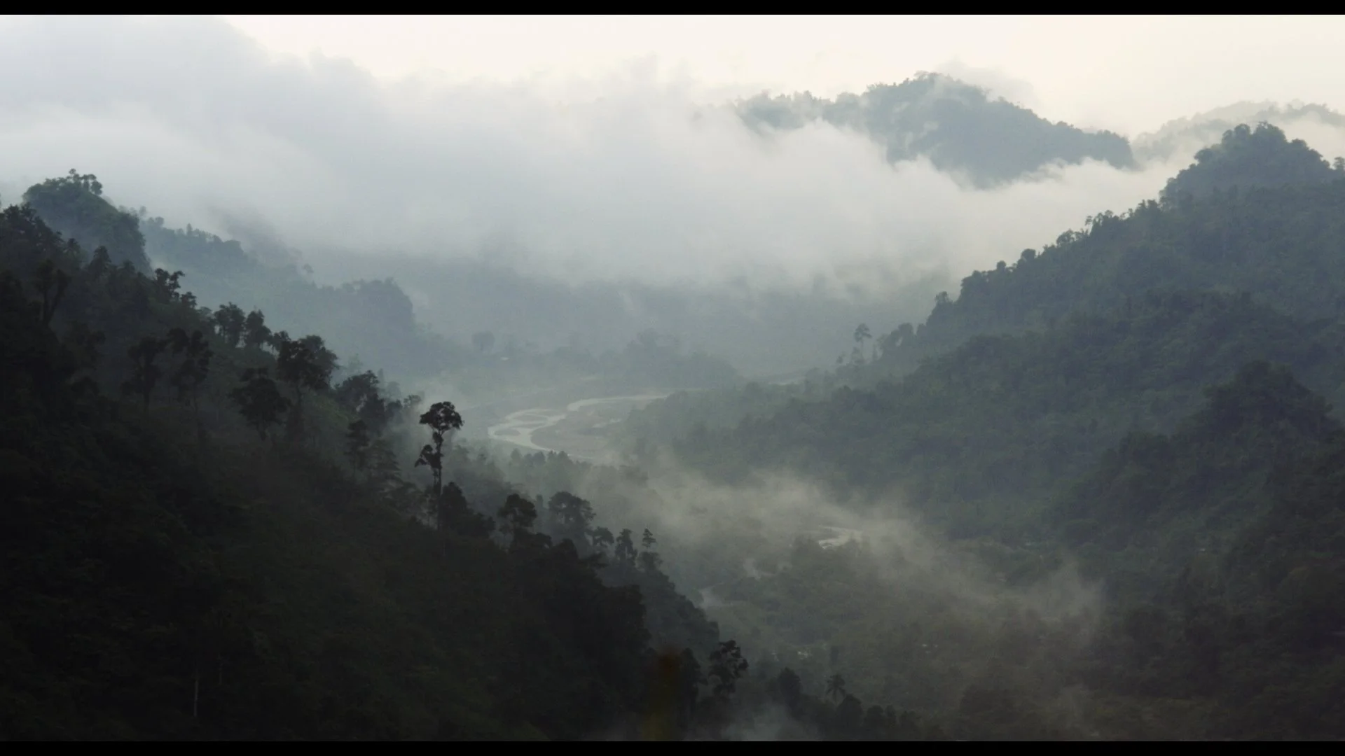 Ophir - jungle valley in fog.jpg
