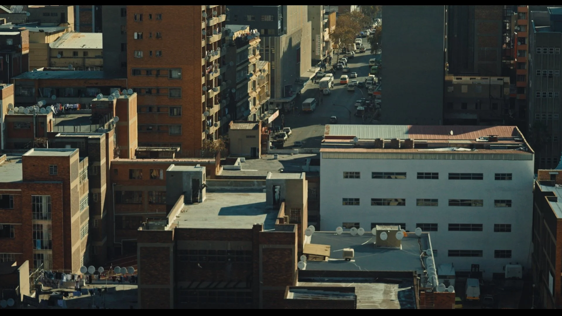 My Beauty, My Pride - city view.jpg