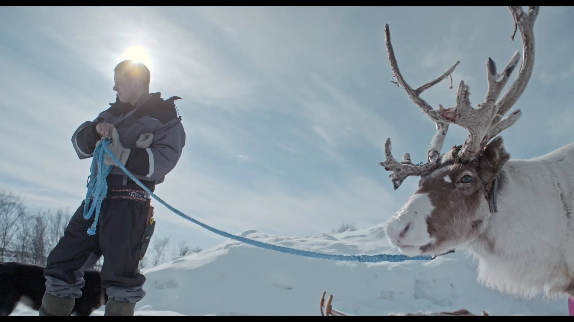 Les Ombres sur la mer - Jovsset with reindeer.jpg