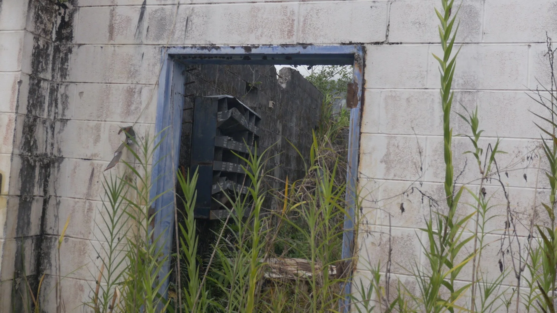 The Panguna Syndrome - deserted wall.jpg
