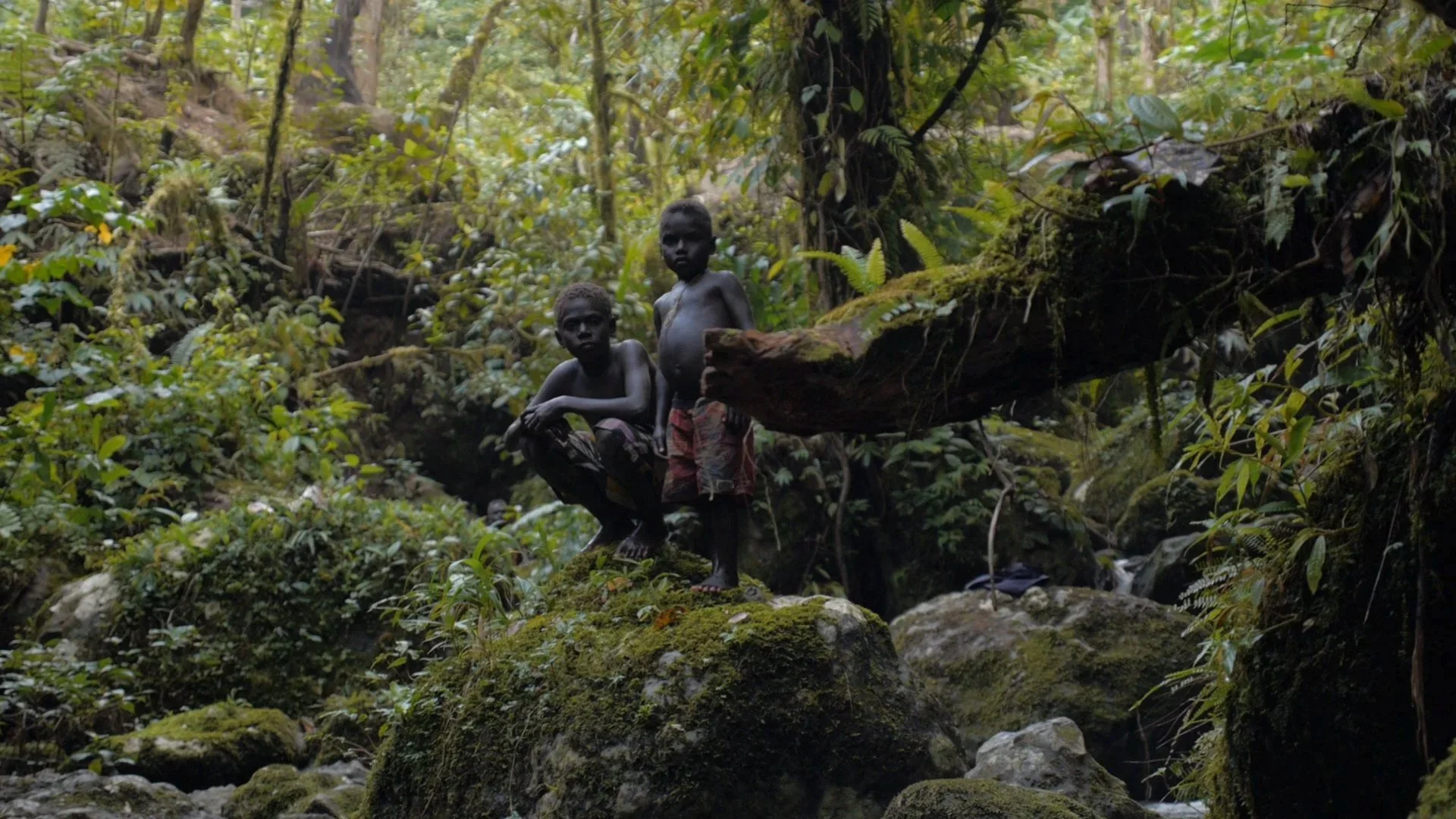 The Panguna Syndrome - kids in jungle.jpg