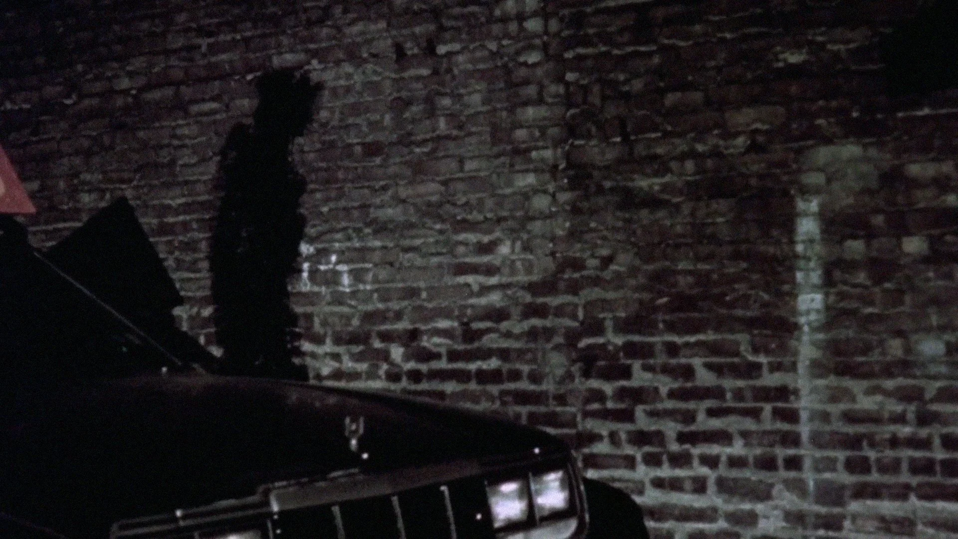 NIGHTLIFE - shadowman behind car.jpg