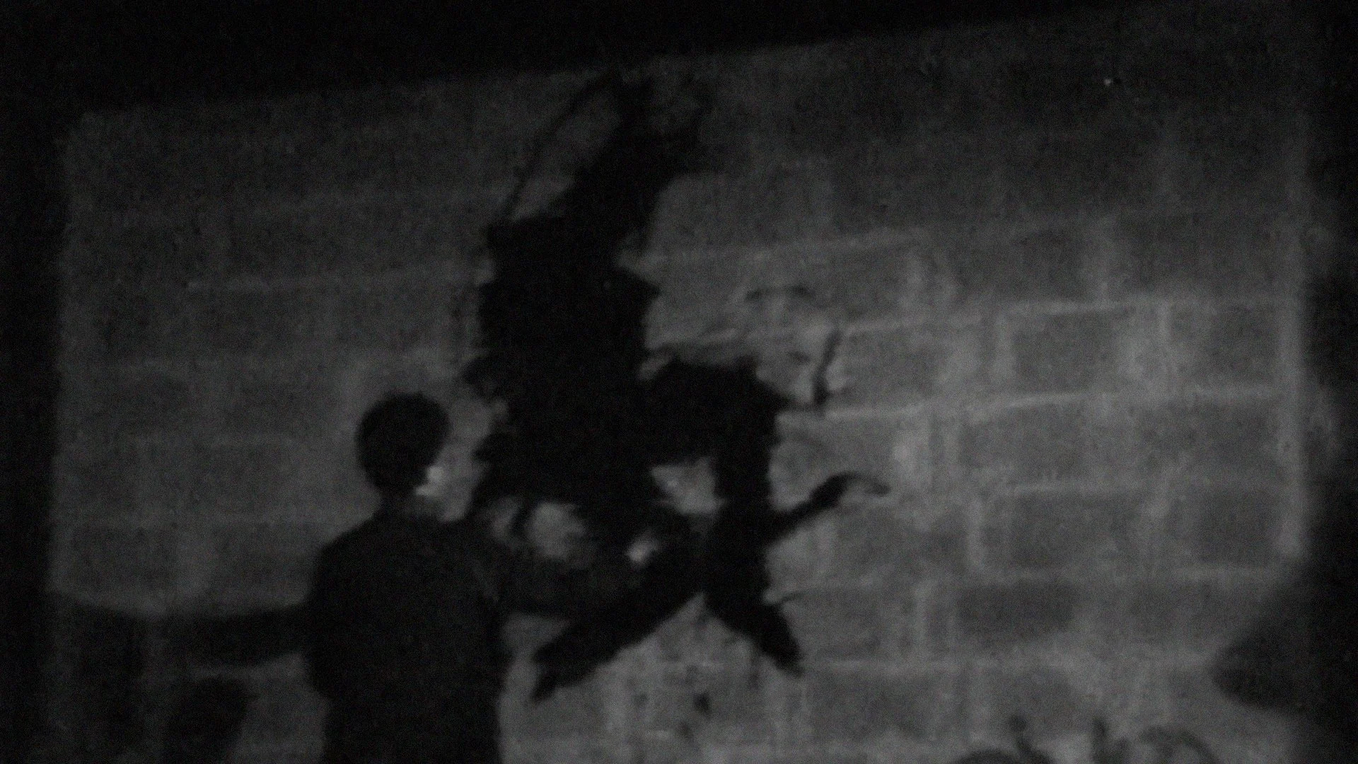 NIGHTLIFE - Hambleton paints shadowman 3.jpg