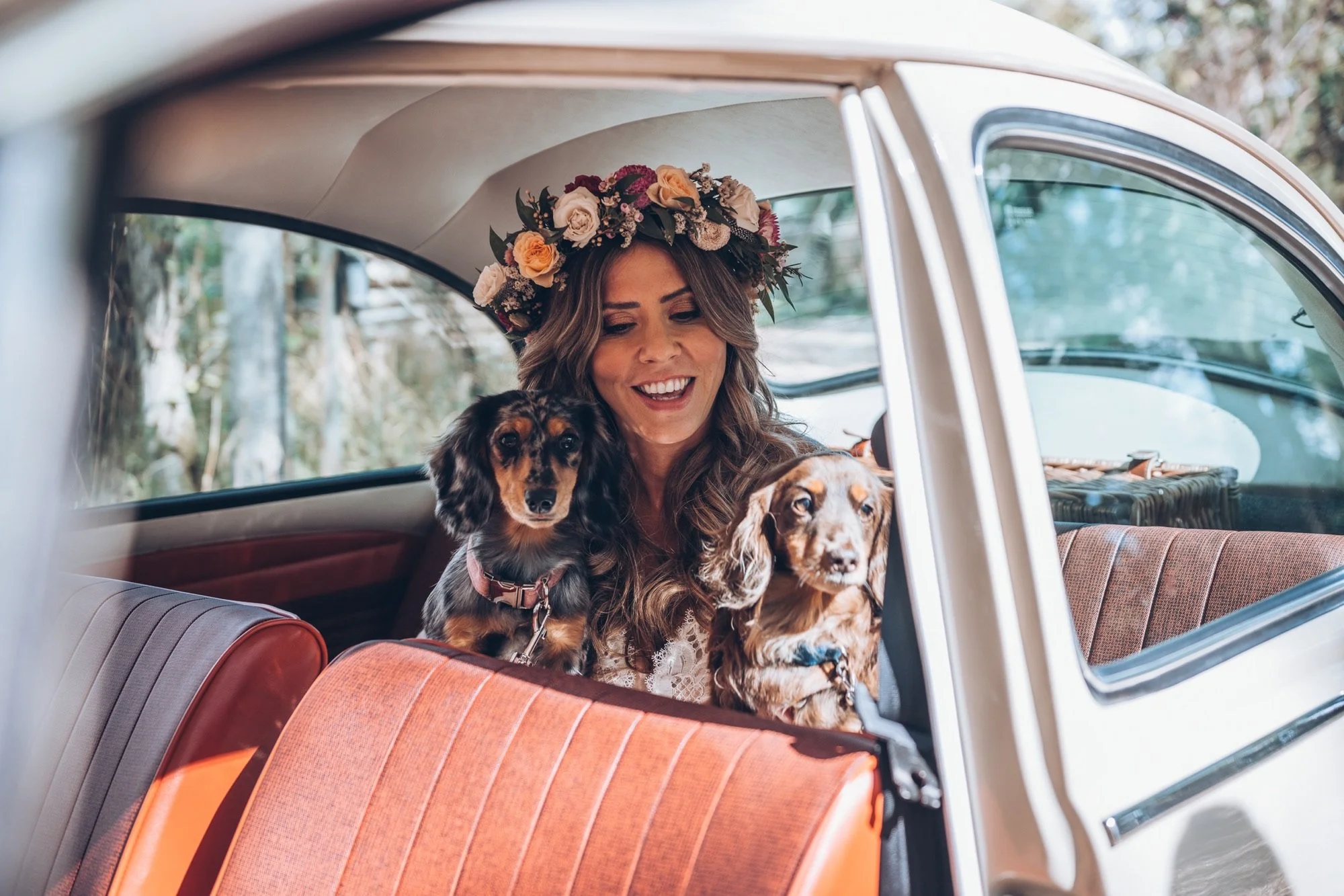 A Bride wearing a floral crown smiles inside a vintage car while holding two dogs, one with long ears and the other with a darker coat, on her lap.