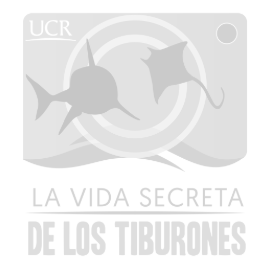 La Vida Secreta de los Tiburones - COSTA RICA logo.