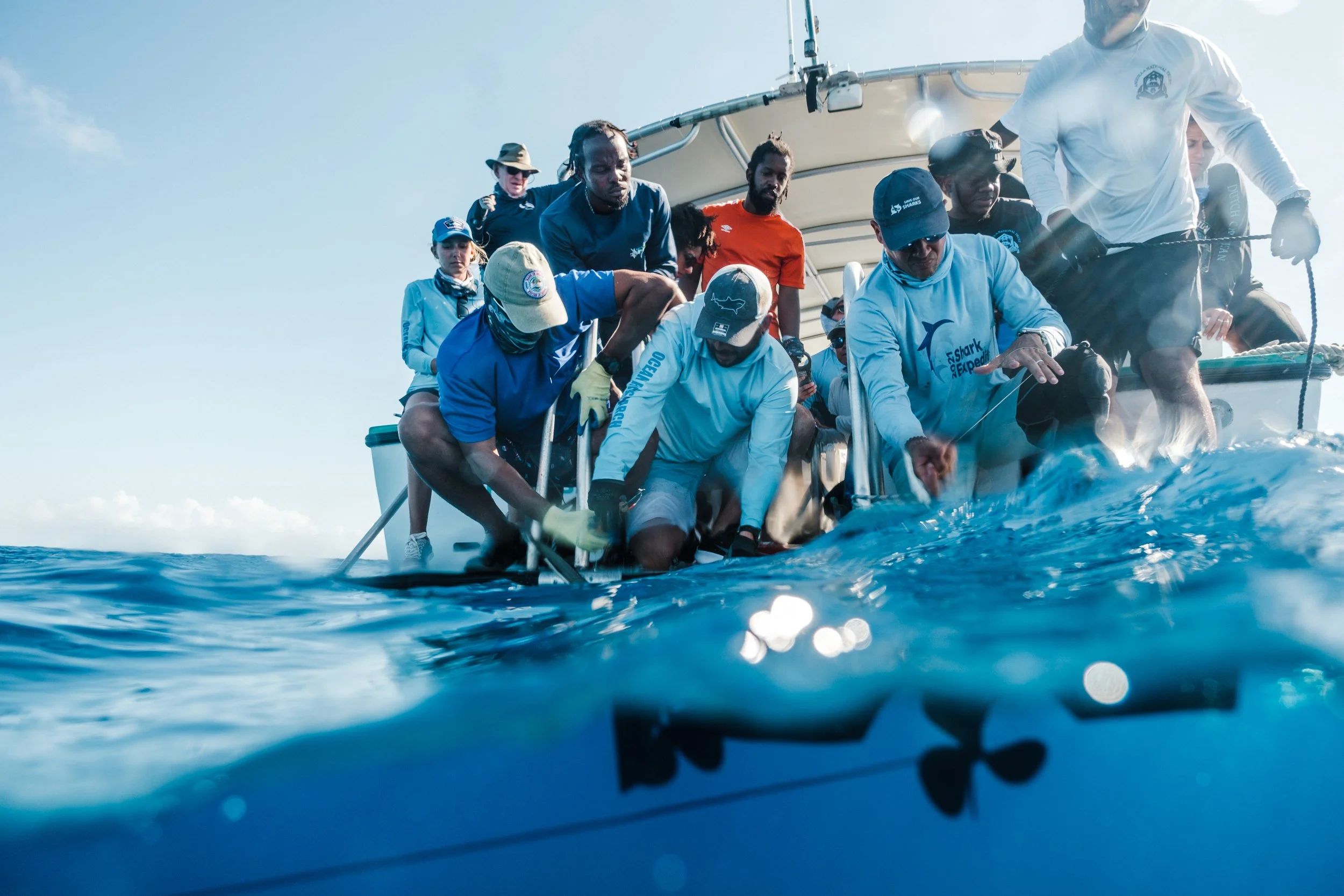 Tagging a shark for conservation research.