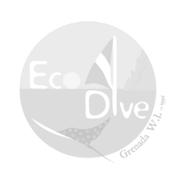 Eco Dive Granada logo.