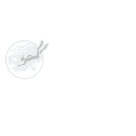 Reef Check Haiti logo.
