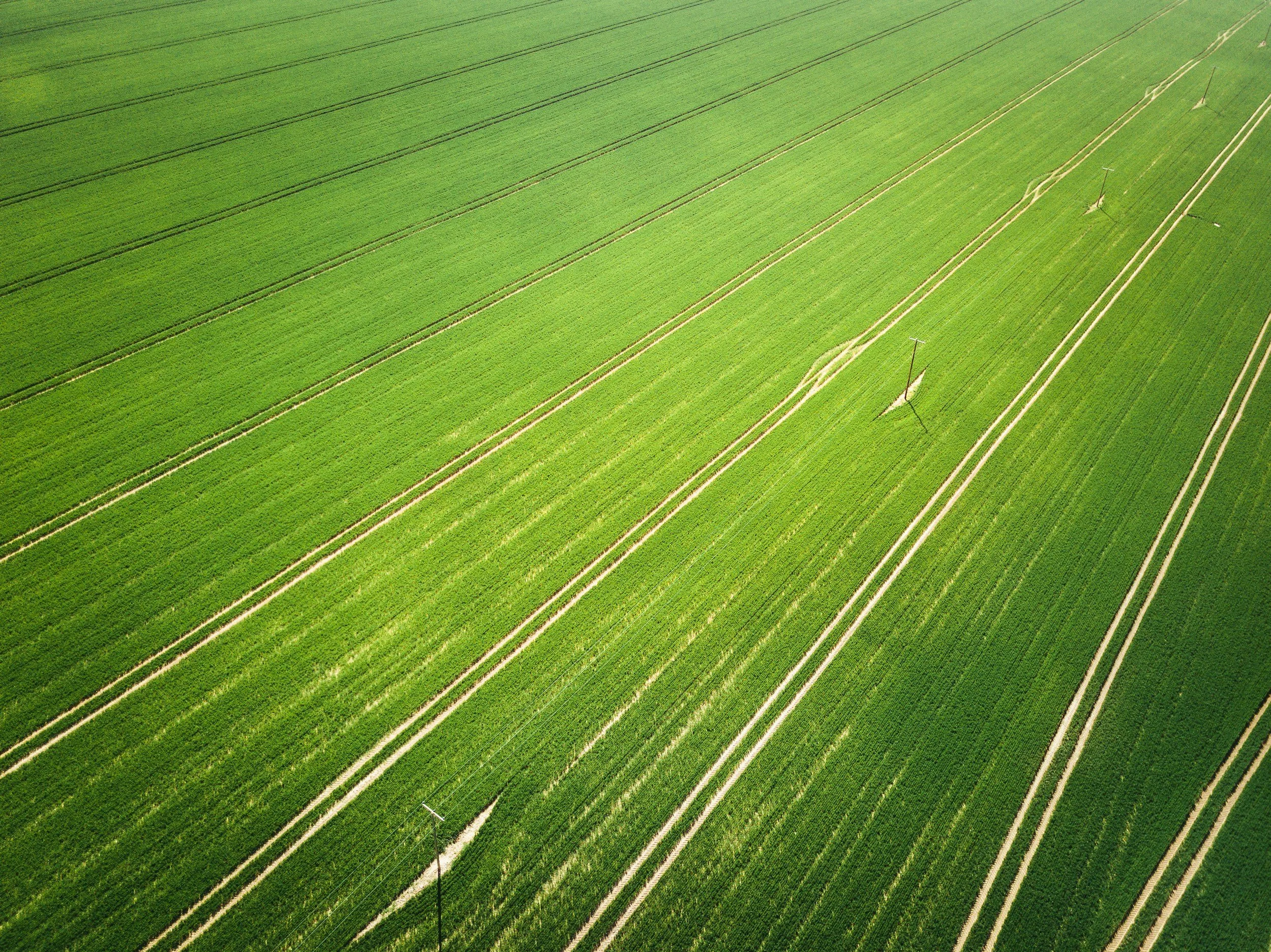 Aerial view of green agricultural fields with narrow dirt paths and wind turbines.