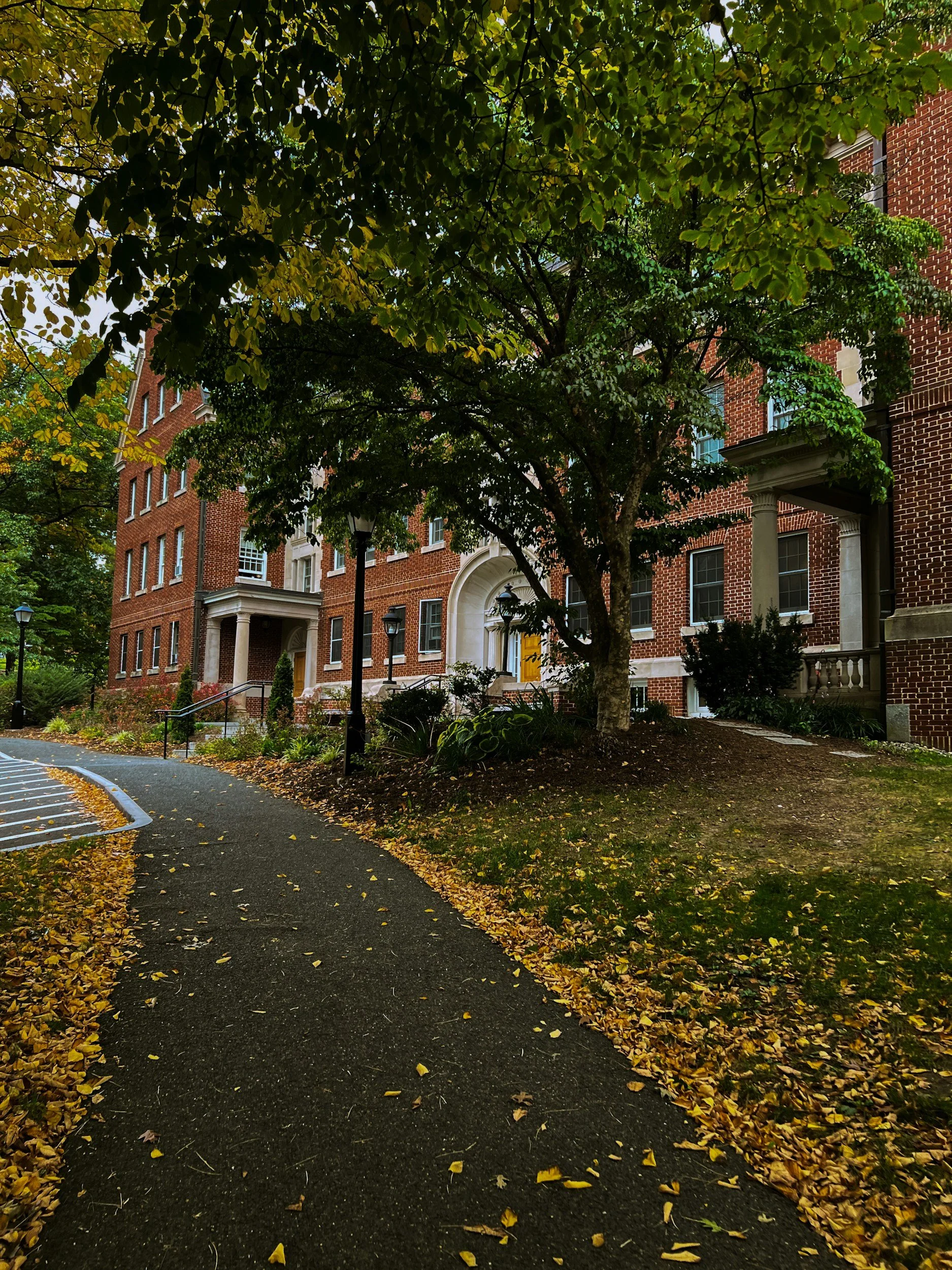 A pathway lined with fallen yellow leaves, leading towards a brick apartment building with trees and street lamps in front.