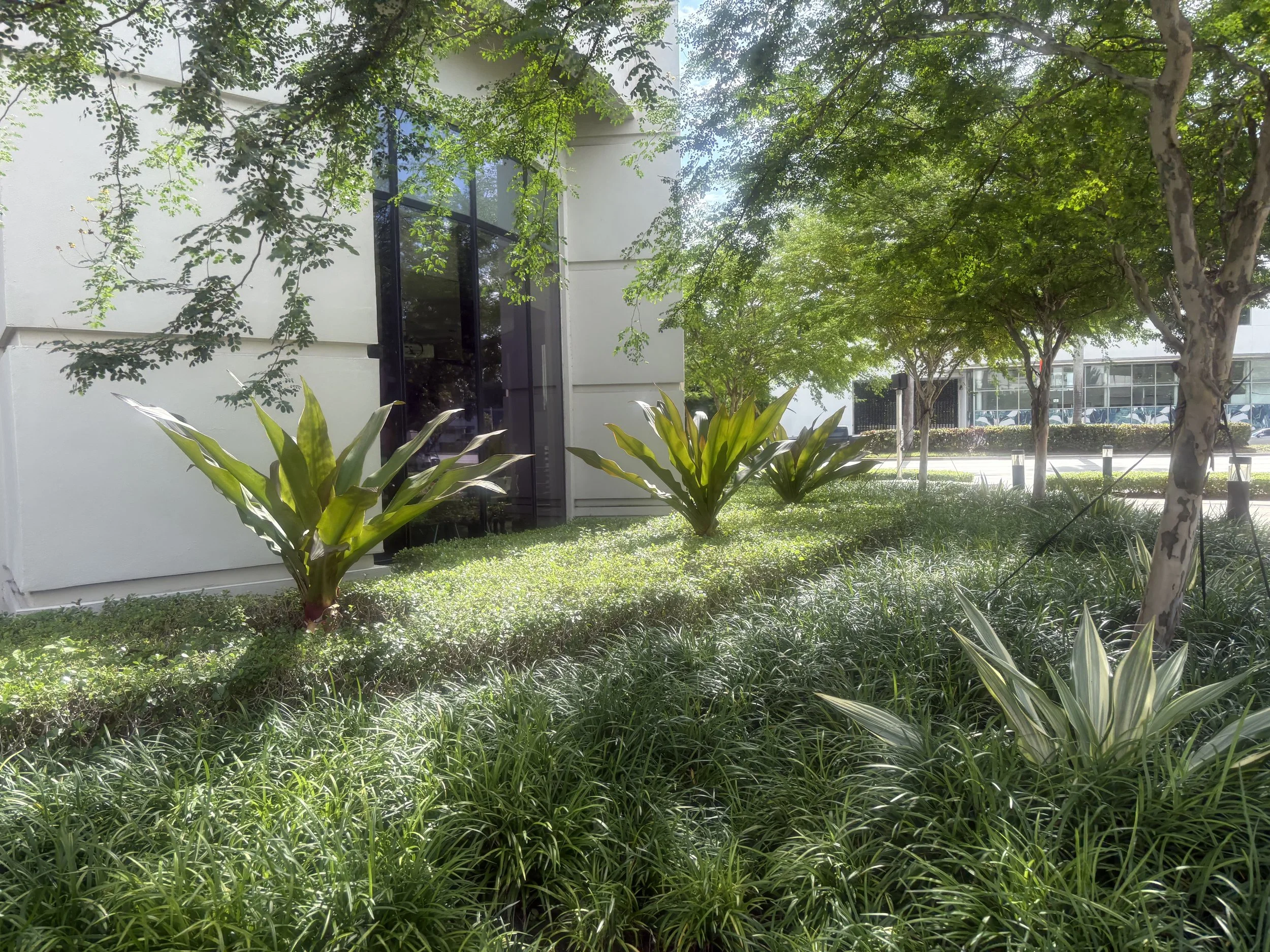 Green leafy trees and plants in front of a modern white building with large glass windows.