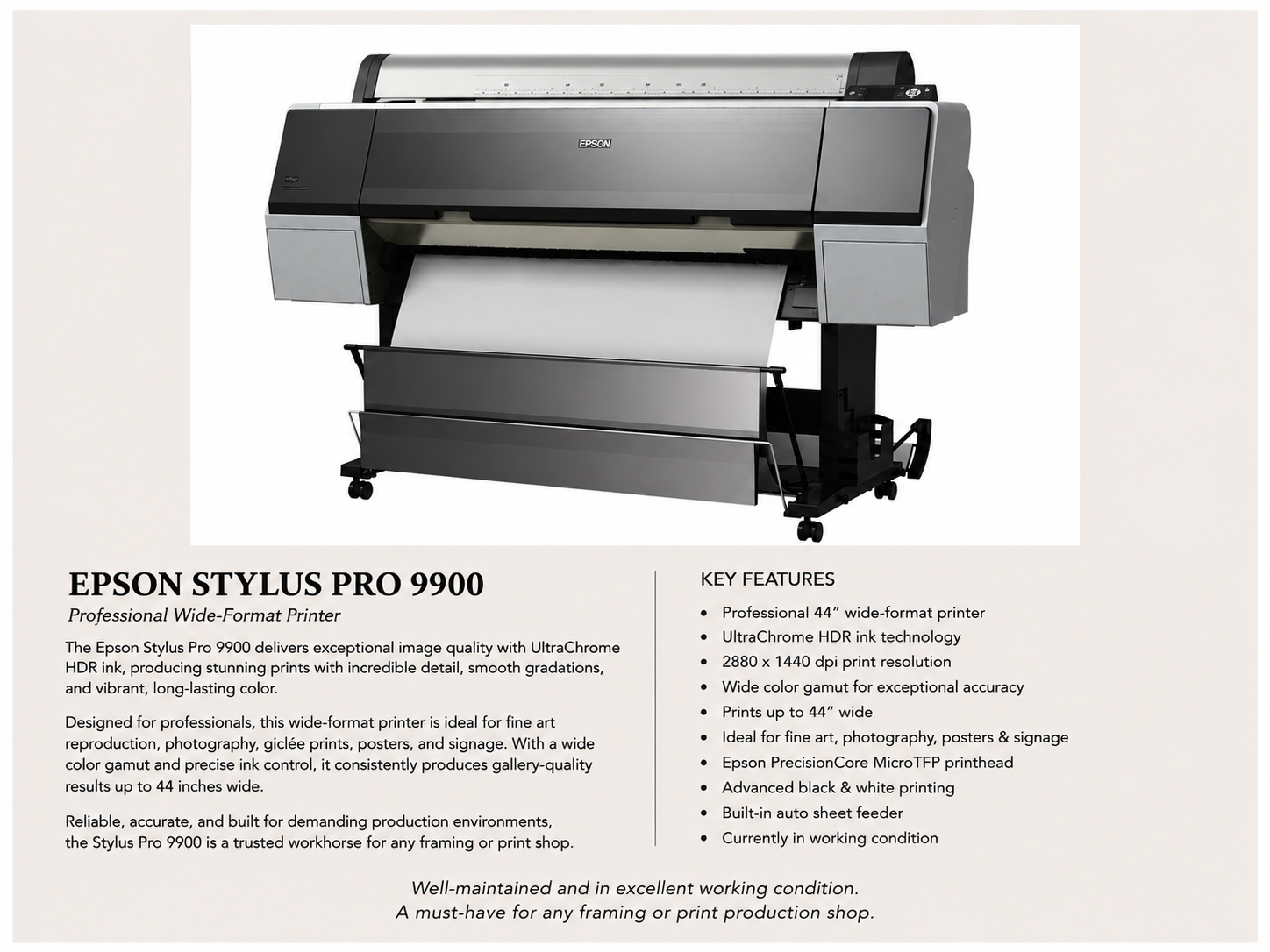 Product flyer for the Epson Stylus Pro 9900 professional wide-format printer showing a large printer with paper ready to print below. Text highlights features such as 44-inch wide format, UltraChrome HDR ink technology, 2880 x 1440 dpi resolution, and built-in auto sheet feeder.