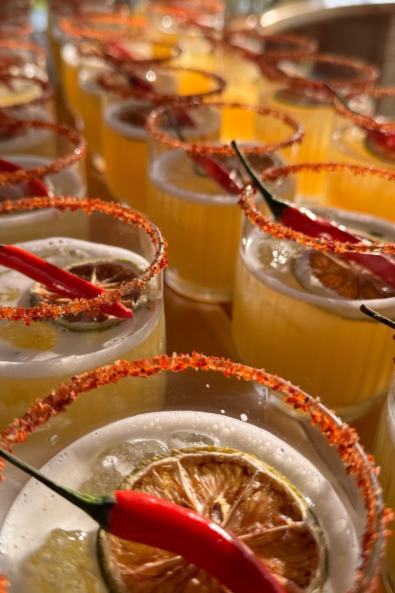 _voewood+spicy+margs_compressed.jpg