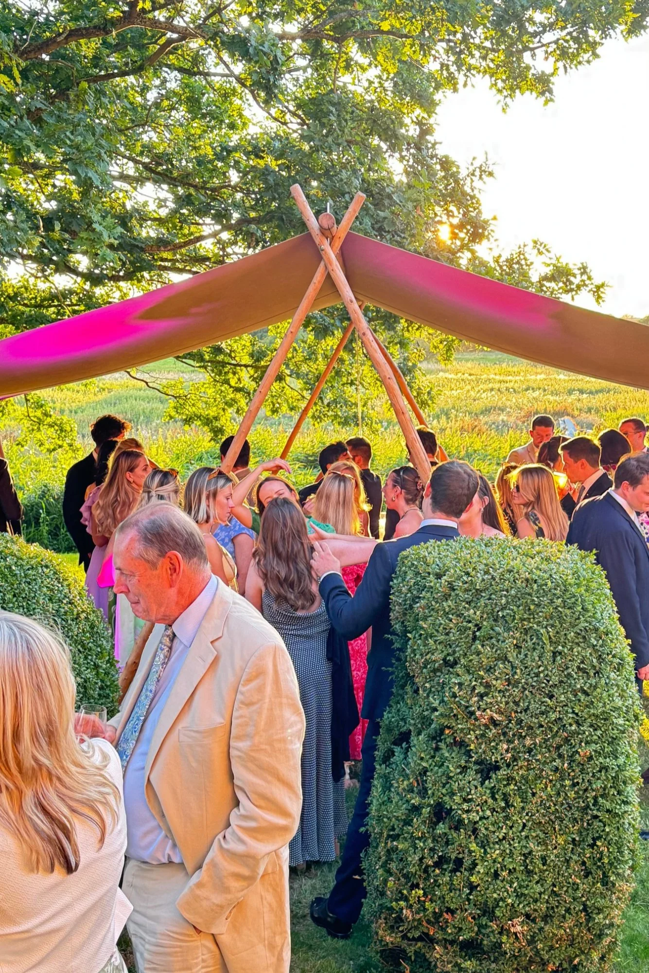 A large outdoor wedding reception with a canopy made of pink fabric and wooden poles, set in a lush green garden during sunset with numerous guests socializing.