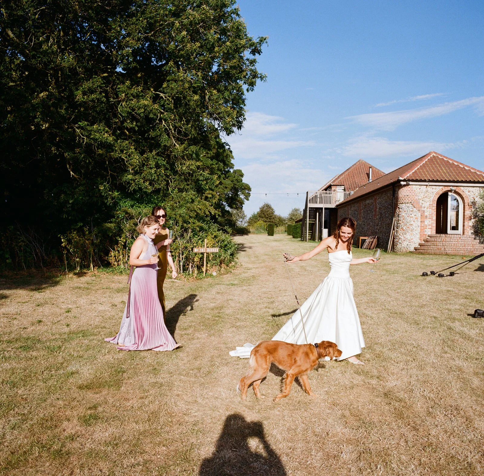 Three women in formal dresses and a dog outdoors near a house. One woman, in a white wedding dress, is holding a leash attached to a dog. Two other women, in pastel-colored dresses, are standing nearby holding glasses. The scene is sunny with a large tree and a brick house in the background.