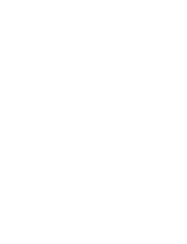 White botanical branch silhouette with leaves on a black background