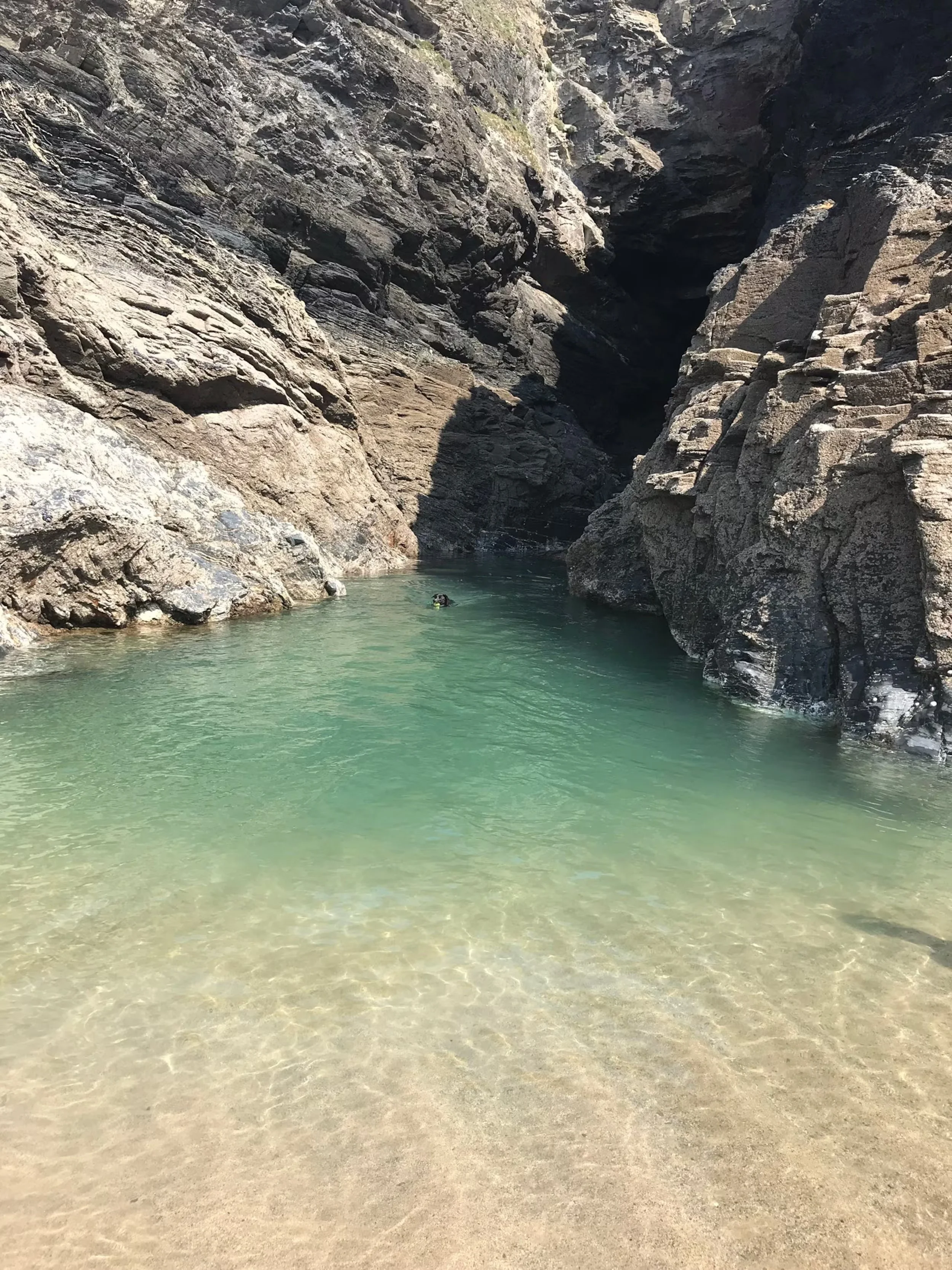 horse pool .jpeg