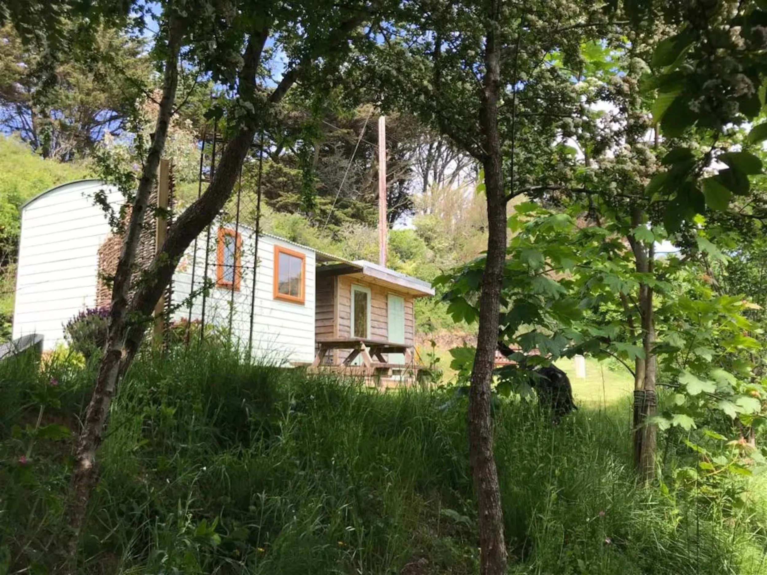 Foxes Cove surrounded by trees and greenery in the garden.